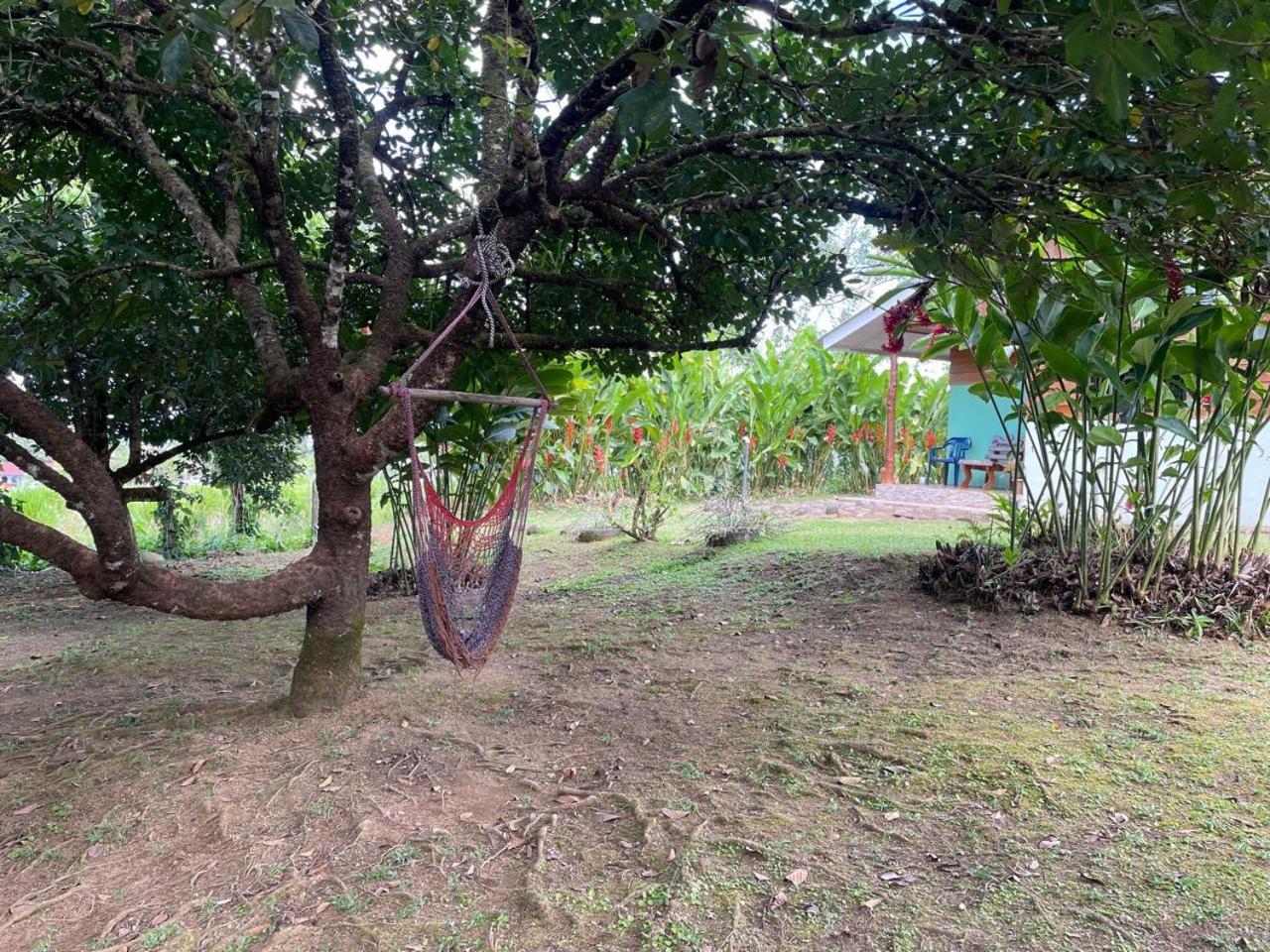 Cabana Rural Ave Del Paraiso La Fortuna Kültér fotó