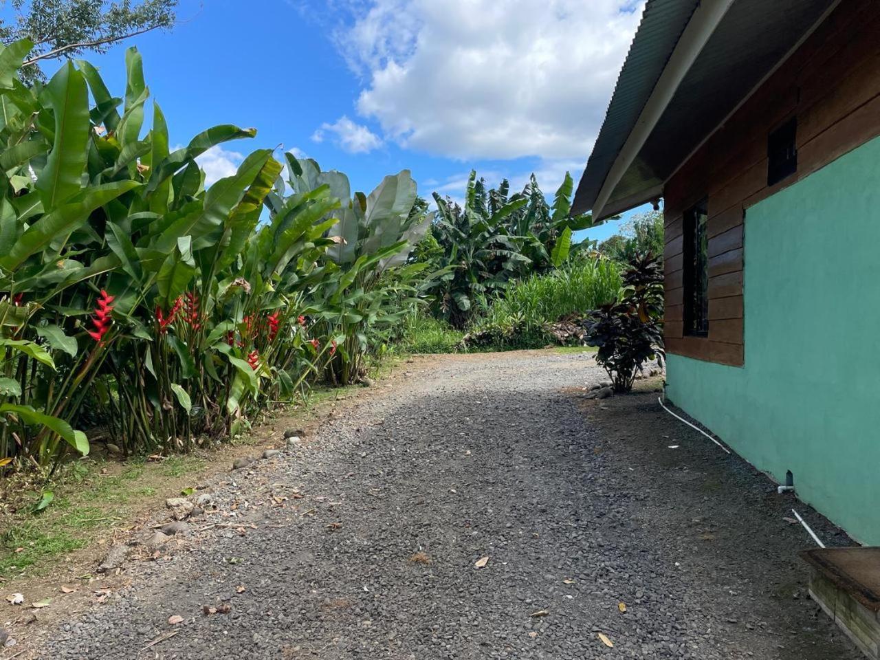 Cabana Rural Ave Del Paraiso La Fortuna Kültér fotó